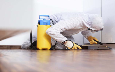4 Queries To Put Before Hiring A Professional Bed Bug Exterminator